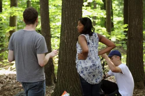 IMG 4288